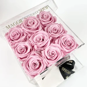 B&BA 9 Pink Eternity Roses