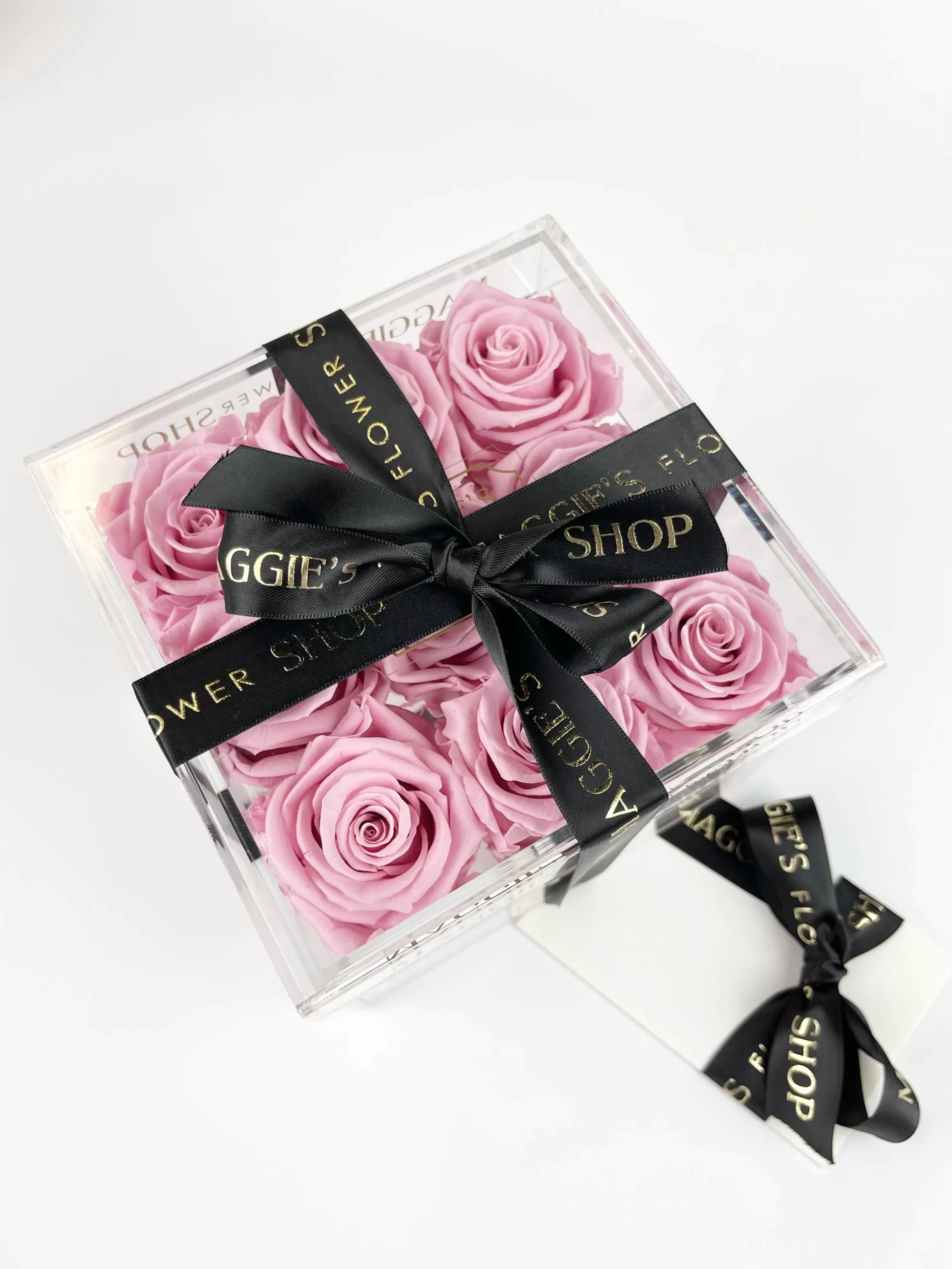 B&BA ETERNITY HOT PINK